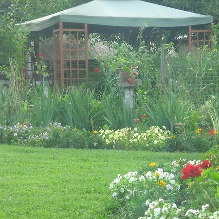 Farm Stay Lackovic Bilje Buitenkant foto