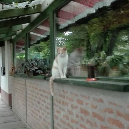 Farm Stay Lackovic Bilje Buitenkant foto