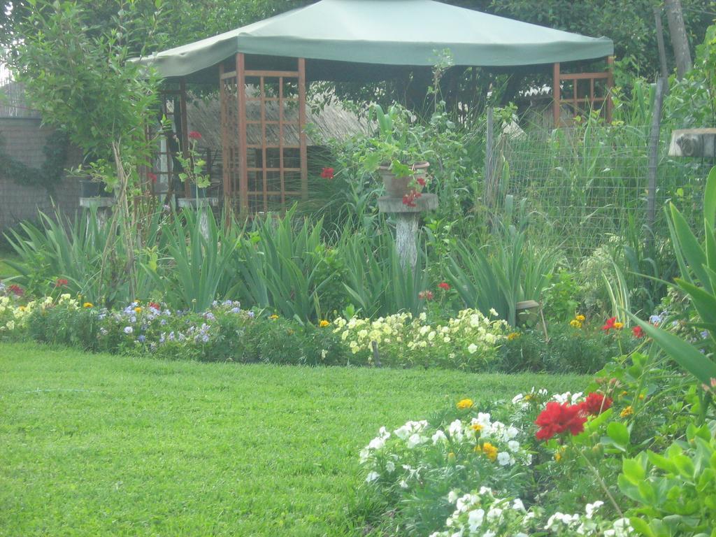 Farm Stay Lackovic Bilje Buitenkant foto
