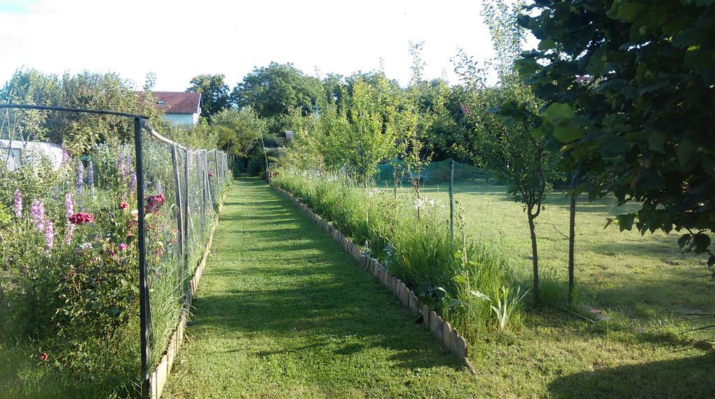 Farm Stay Lackovic Bilje Buitenkant foto