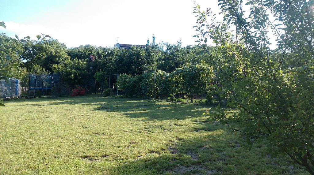 Farm Stay Lackovic Bilje Buitenkant foto