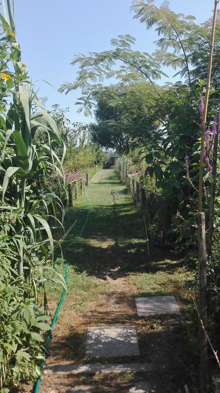 Farm Stay Lackovic Bilje Buitenkant foto